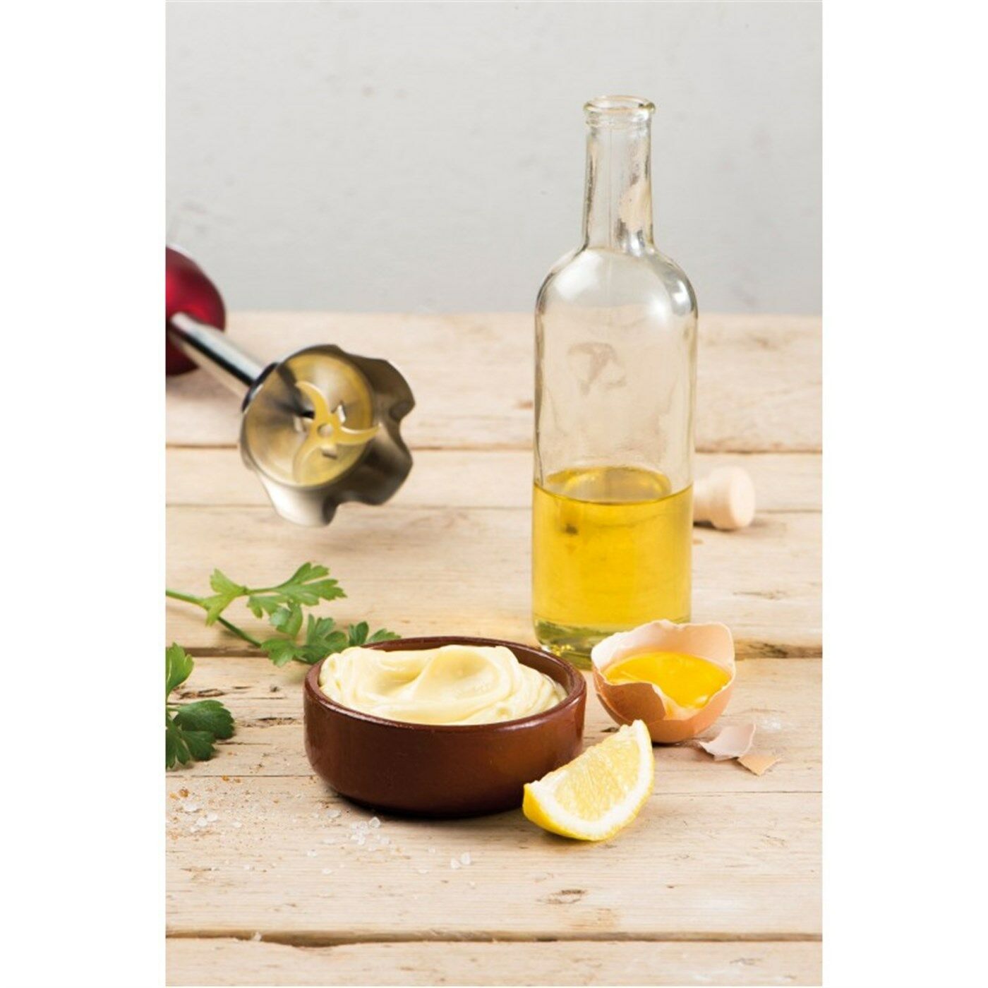 FRİTEL  HB 2879 El Blender Seti (800W)