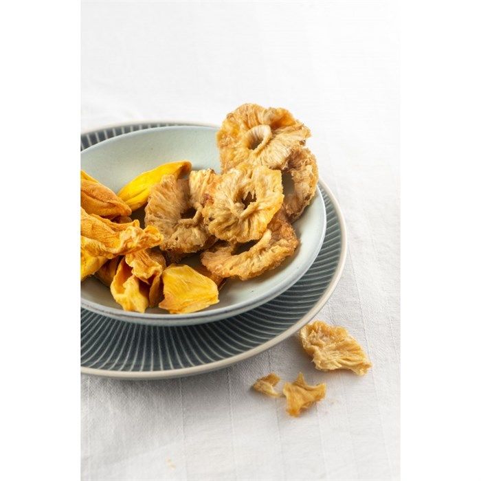 FRİTEL DH 2025 Meyve ve Sebze Kurutucu (250W)